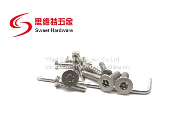 SS304 Stainless Steel Flat Head Pin-in Torx Anti-theft Countersunk Machine Screw photo-3