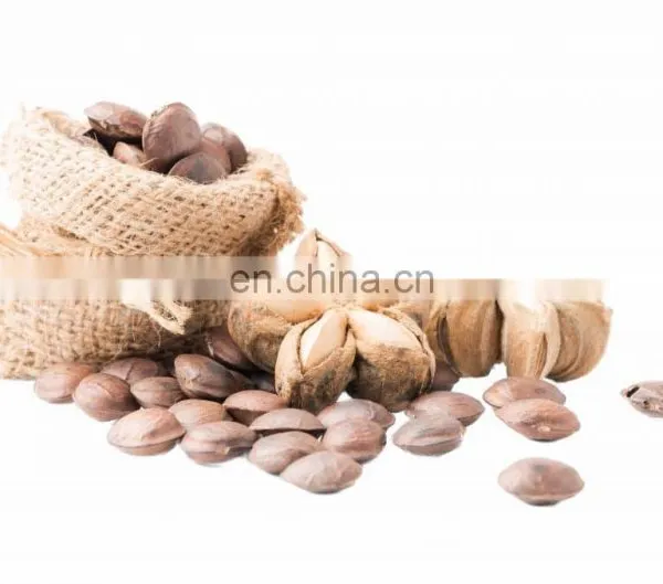 100% Organic Sacha Inchi Wholesale/Supply SACHA INCHI From VIETNAM With Good Price photo-4