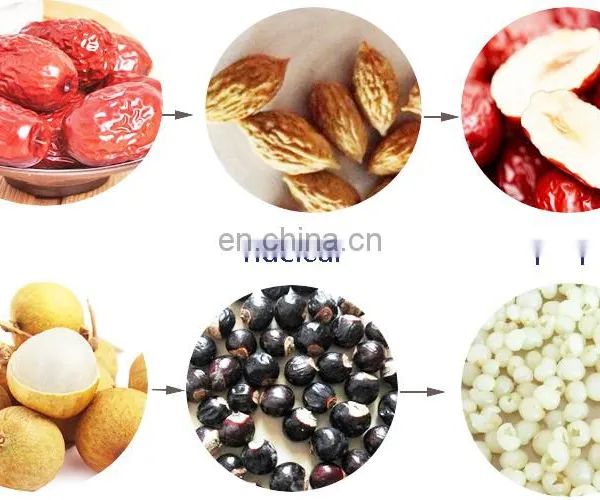 Electric Cherry Olive Palm Prune Date Peach Pitter Machine For Sale photo-3