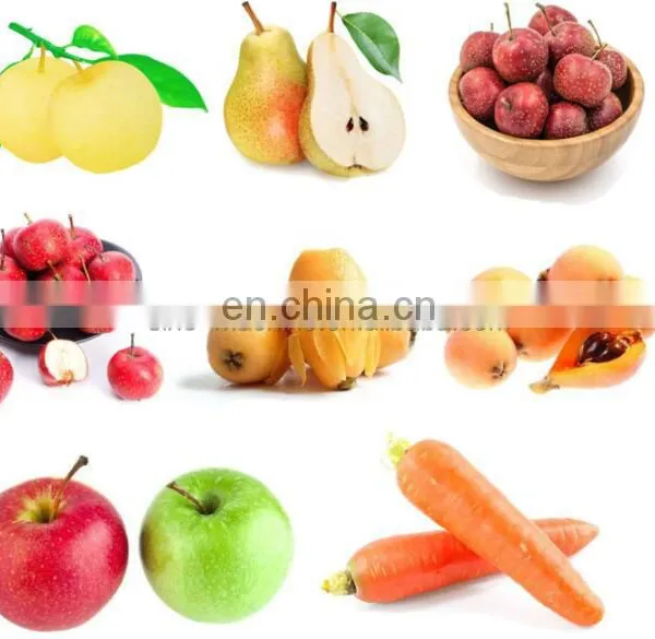 Industrial Belt Type Apple Juice Pressing Machine/NFC Apple Juice photo-5