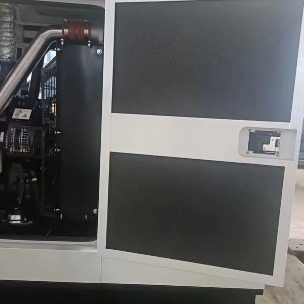 WEICHAI 20KW 25KVA Silent Generator Set for Russian Market photo-4