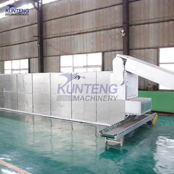 Large Capacity Agriculture Products Dryer Continuous Potato Chips Drying Machine EPC photo-5