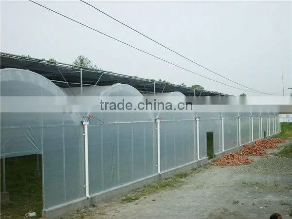 Winter Greenhouse With Film Coverage photo-2