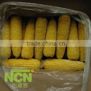 China Supply Frozen Sweet Corn Cob photo-2