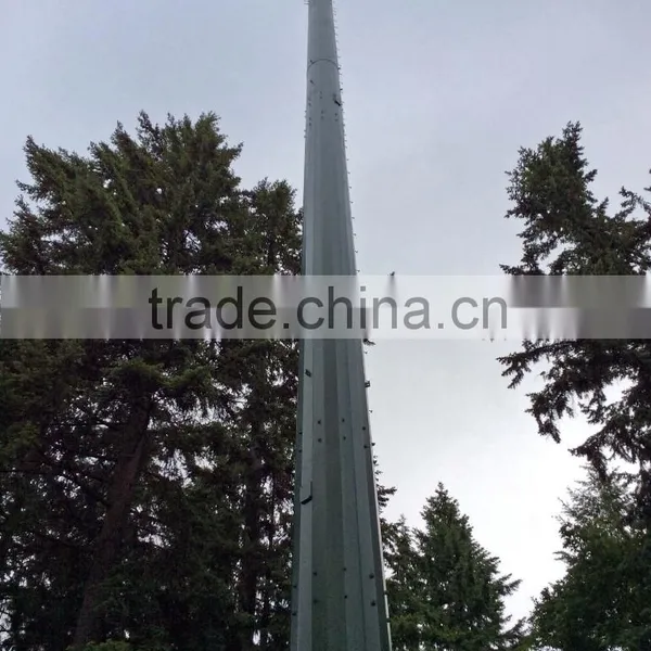 High Quality Self Supporting Steel Tube Pole Communication Tower photo-6