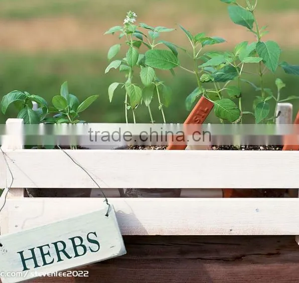 Hot! High Quality Best Price Sap for Agriculture