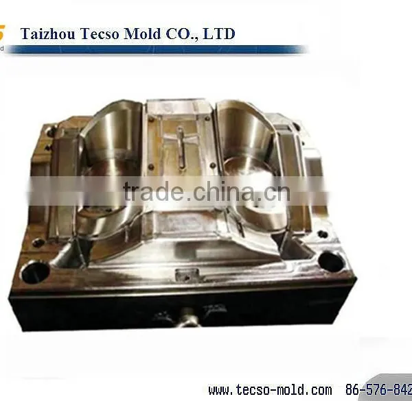 Auto Door Mould