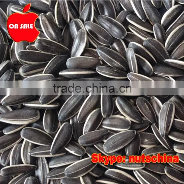 Sunflower Seeds 5009 3939 5135 909 118 photo-6