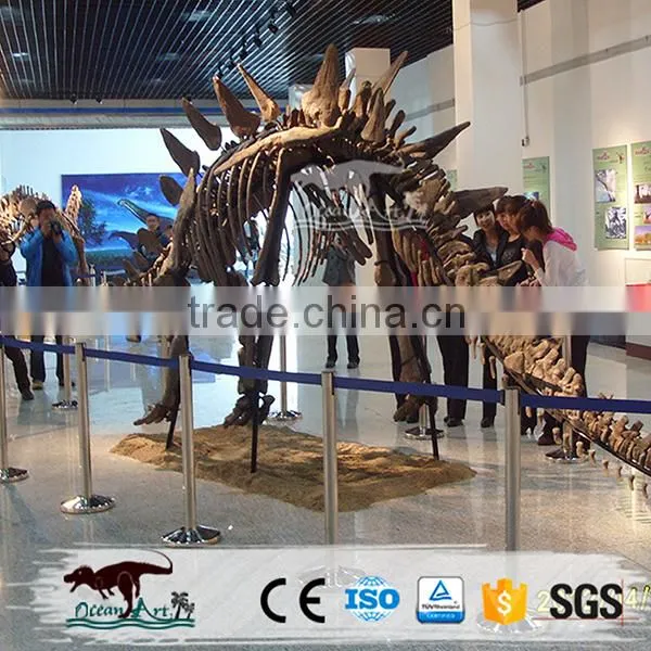 OA-DS-20160505S5 Science Museum Stegosaurus Dinosaur Fossils For Sale photo-3