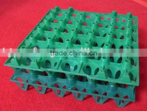 Plastic Egg Tray