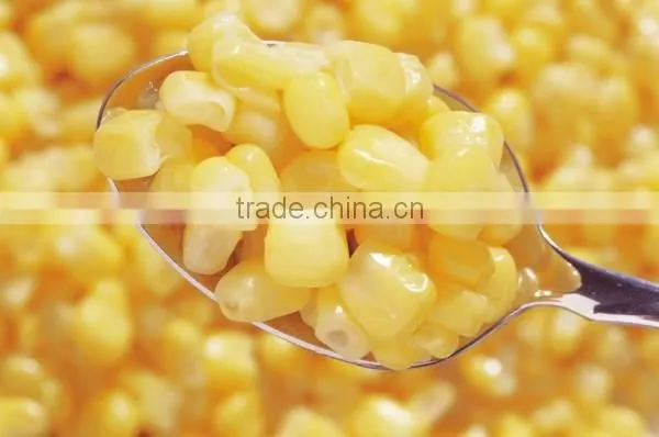 Canned Sweet Corn photo-3