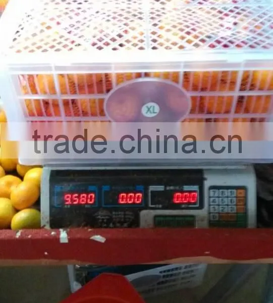 Chinese Fresh Orange Cheap Selling photo-3