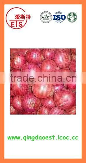 Export China Fresh Organic New Crop Red and Yellow Onion photo-4