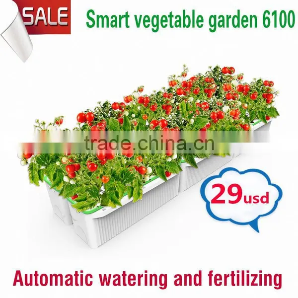 Excellent Quality Potted Plant Decoration