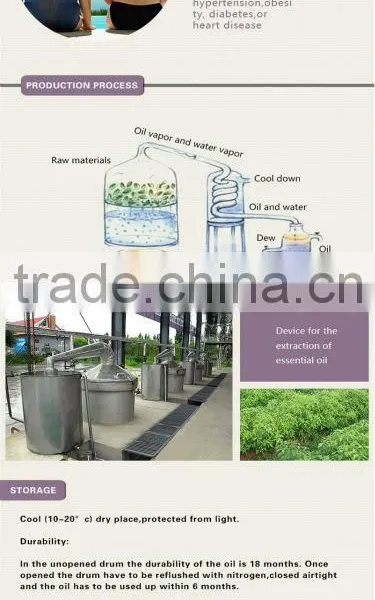Nature Extractum Glycyrrhizae Liquidum Used for Making Cold Medicine photo-5