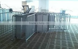 Poultry Farm Machinery Gestation Crates Stalls For Pigs photo-6