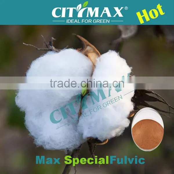 FA Powder 95%