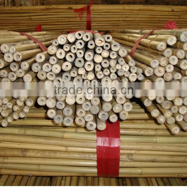 WY-202 Whole Part and Pole Shape Bamboo Cane for Sale photo-4