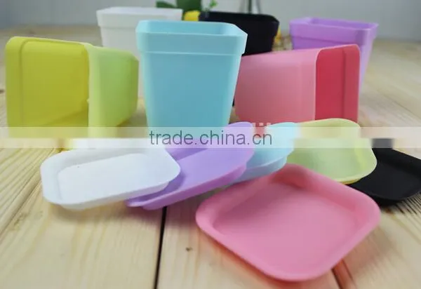 70mm Plastic Square Pot for Succulent Plants photo-4