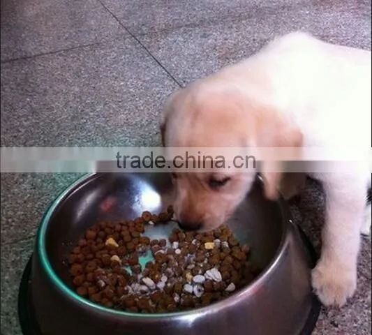 Machines to Make Bird Food photo-3