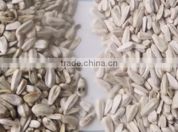Automatic CCD Color Sorter/seperator Machine Price for Sunflower Seeds photo-2