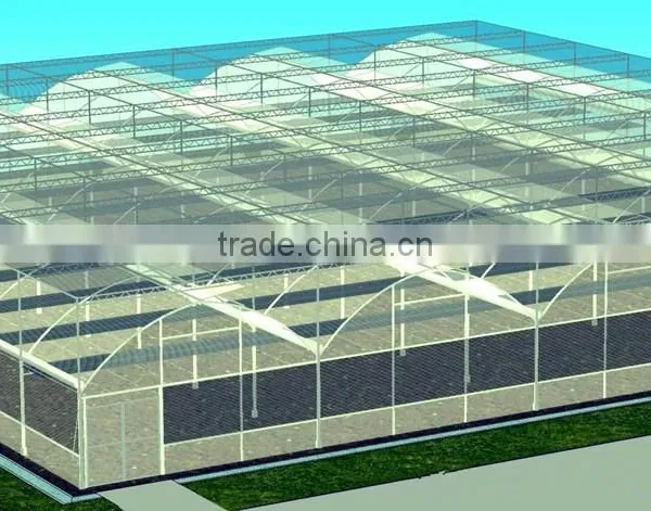 Hot-Dip Galvanized Steel Pipe Frame And 150mm PE Film Covered Multi-Span Greenhouse For Vegetables photo-5