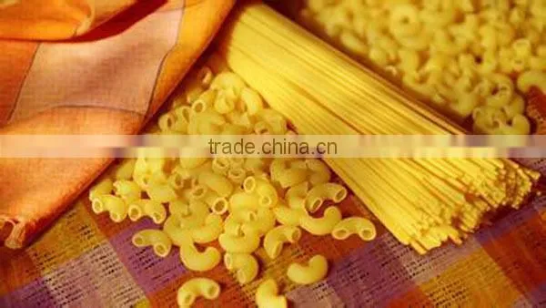 High Quality Pasta Production Line photo-3