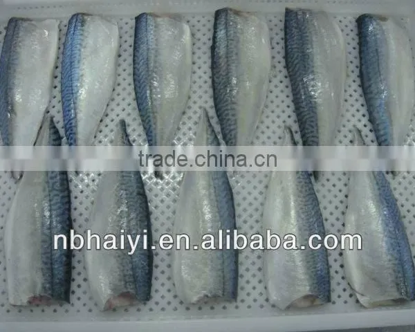 Frozen Mackerel Fillets