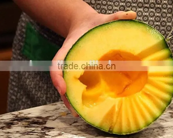 ST-2438 Stainless Steel Fruit Digging Spoon and Fruit Carving photo-5