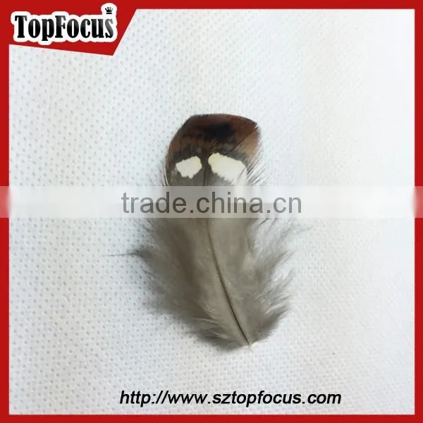 Hot Sale Dyed Wholesale Natural Cheap Artificial Pheasant Feathers Prices photo-2