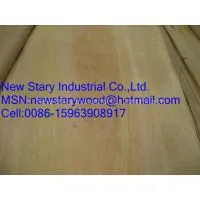 Sell Rotary Cut Veneer