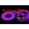 Outdoor-3528SMD-60 LED Strip Light