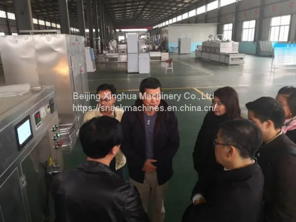 Case Study of Doritos Chips Making Machine From Nigeria photo-3