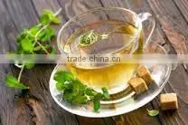 Premium Spearmint Tea With Excellent Anti-oxident Properties photo-3