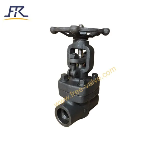 Forged Carbon Steel A105N Class 800 Gate Valve photo-2
