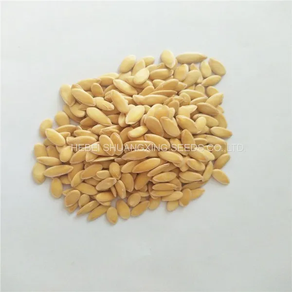 Cantaloupe No.1 Chinese Round Shape Melon Seeds for Sale photo-3