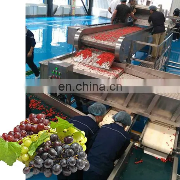China Newest Grape Fruit Juice Machine Production Line Manufacturers photo-2