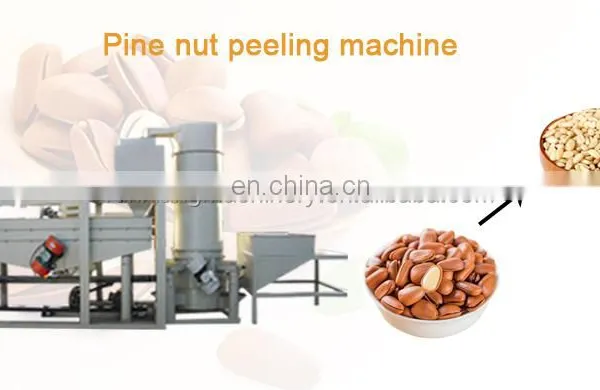 Buckwheat Pine Nut Cracking Shelling Machine Moringa Seed Husking Processing Machines photo-5