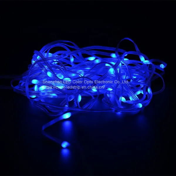 Dream Color Led Rgb Strip Kit LC8812 9.5W 5V Water Lines Lamp Light photo-2
