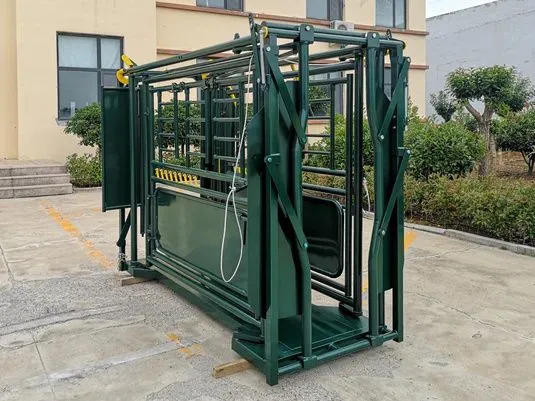 2025 New Mold Steel Tube Cattle Handling Crush photo-5