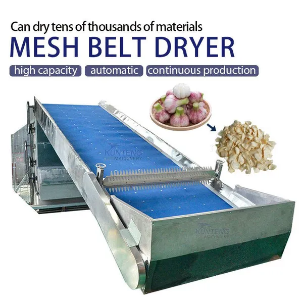 Industrial Continuous Garlic Dryer Machine Automatic Fresh Garlic Slice Flakes Dehydrator Drying Processing Plant Set EPC