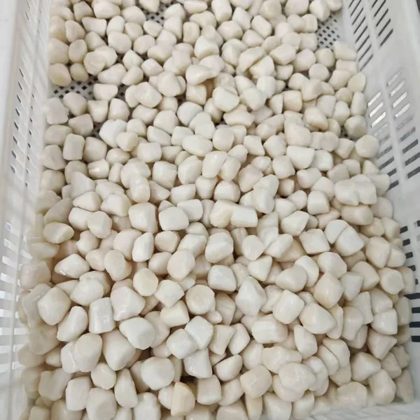 Frozen Bay Scallop