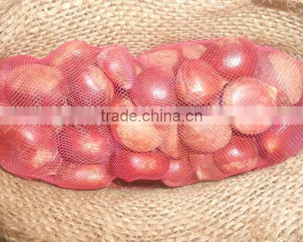 Fresh Style and Chestnut Type Fresh Chestnut