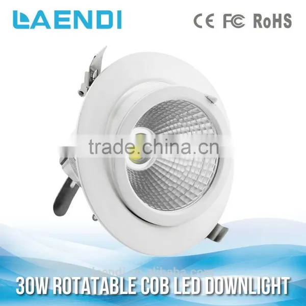 For Commercial Lighting High Lumen 30W Gimbal Led Downlight photo-2