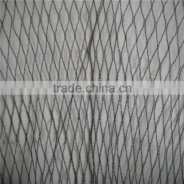 China Factory Bird Net for Fruit Trees,anti-bird Net for Vineyard,agricultural Anti-bird Net photo-5
