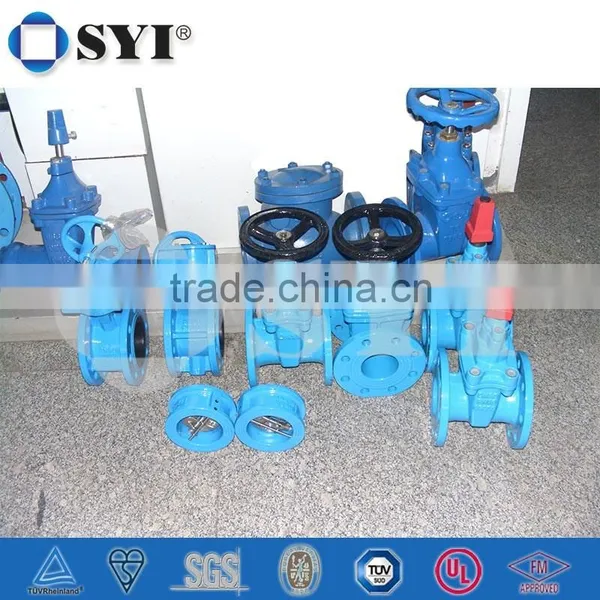 BS5153 Ductile Iron Check Valve photo-5