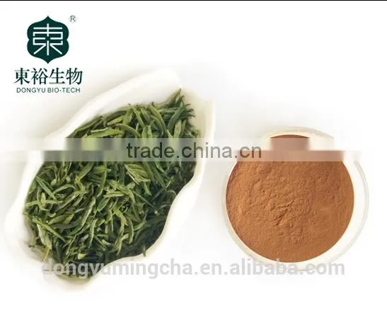 Green Tea Manufacturers Green Tea Extract Powder With Best Price and High Quanlity