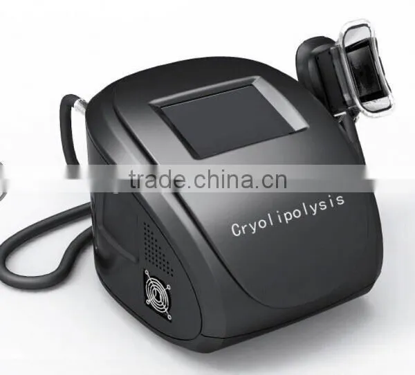 2016 ETG20 Criolipolisis Fat Freeze Slimming Machine photo-2