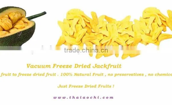 Thailand Fruits - Vacuum Freeze Dried Jackfruit [ Certified HACCP, ISO 22000 , GMP , HALAL and KOSHER ] photo-2