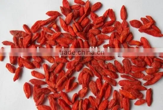 New Batch Goji Berry Wih Good Prce photo-4